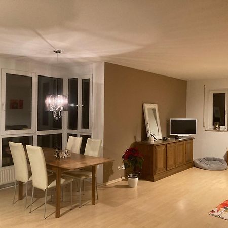 3 Zi Wohnung Haustiere Willkommen Im Markgraeflerland Dreilaendereck شلينغين المظهر الخارجي الصورة