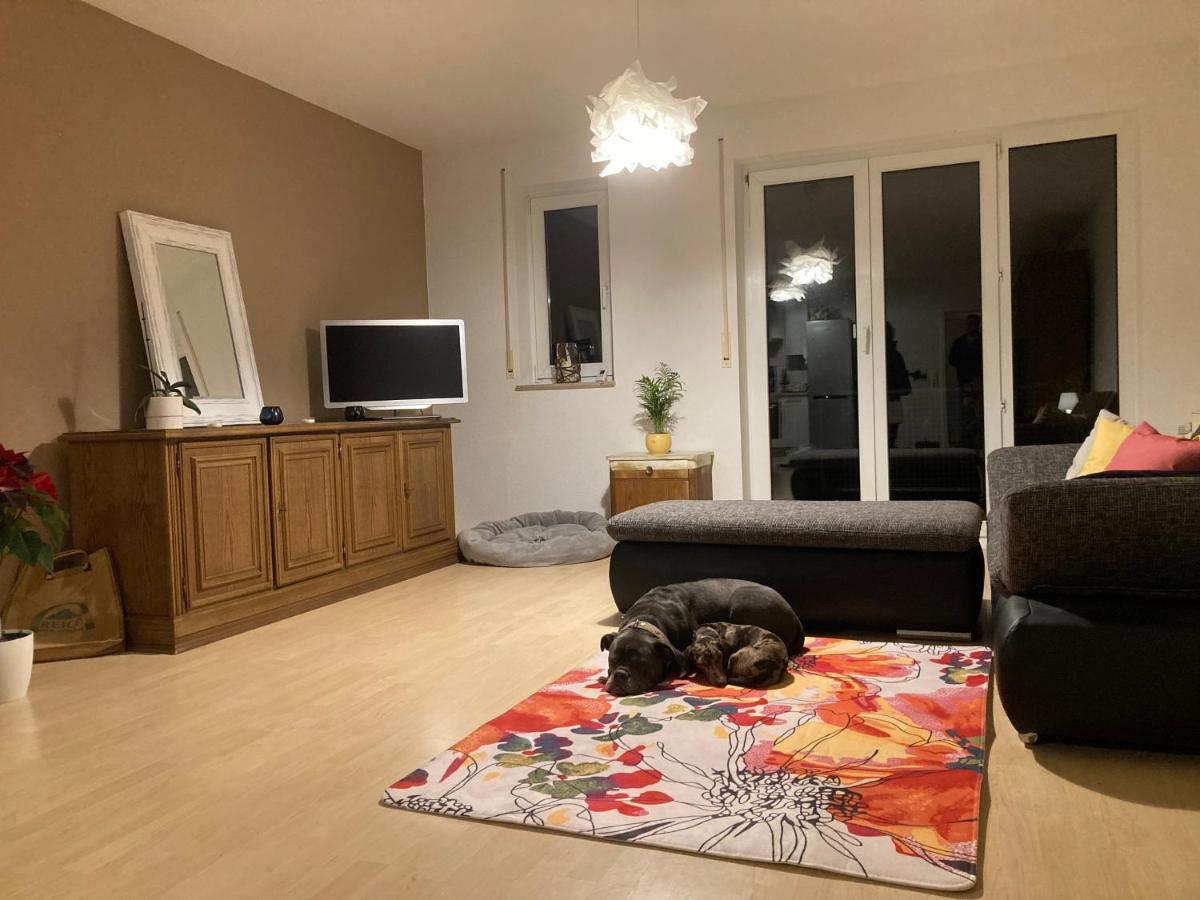 3 Zi Wohnung Haustiere Willkommen Im Markgraeflerland Dreilaendereck شلينغين المظهر الخارجي الصورة